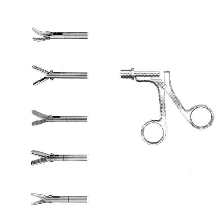 BERCI PANSUMAN FORSEPS ÇAP  5 MM